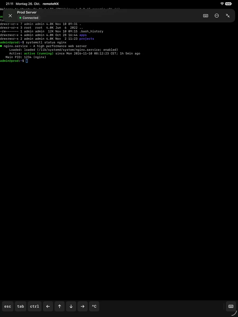 SSH-Terminal auf dem iPad mit Befehlsausgabe