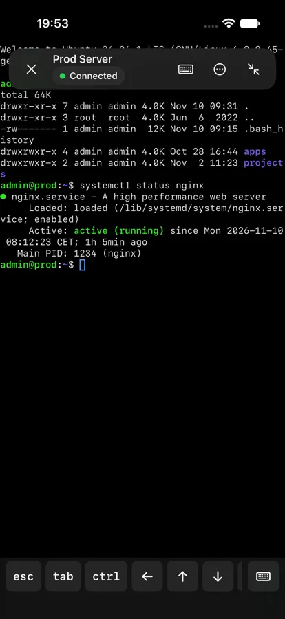 SSH-Terminal auf dem iPhone mit der Ausgabe von systemctl status nginx und einer Tastaturleiste mit esc, tab, ctrl und Pfeiltasten